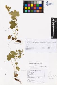 SW_BNB_s3070-05820_IMG-0000000001