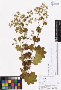 SW_BNB_s3070-05821_IMG-0000000001
