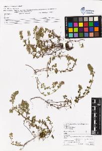 SW_BNB_s3070-05827_IMG-0000000001