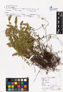 SW_BNB_s3070-05829_IMG-0000000001