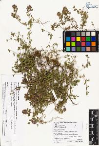 SW_BNB_s3070-05831_IMG-0000000001
