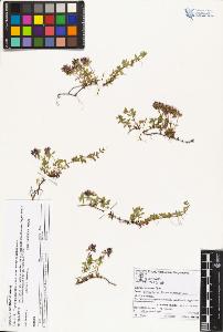 SW_BNB_s3070-05832_IMG-0000000001