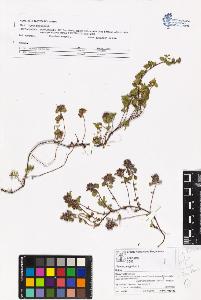 SW_BNB_s3070-05833_IMG-0000000001