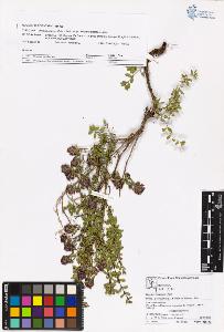 SW_BNB_s3070-05836_IMG-0000000001