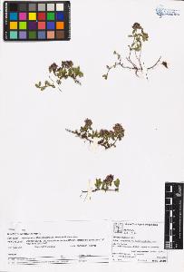 SW_BNB_s3070-05837_IMG-0000000001