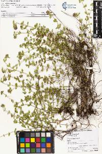 SW_BNB_s3070-05838_IMG-0000000001