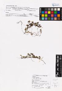 SW_BNB_s3070-05839_IMG-0000000001