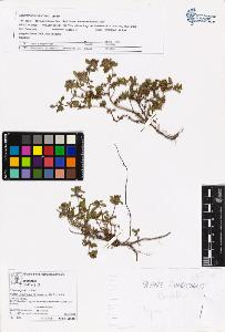 SW_BNB_s3070-05841_IMG-0000000001