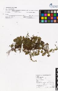 SW_BNB_s3070-05843_IMG-0000000001