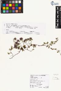 SW_BNB_s3070-05846_IMG-0000000001