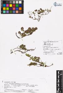 SW_BNB_s3070-05848_IMG-0000000001