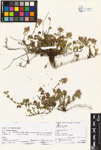 SW_BNB_s3070-05850_IMG-0000000001