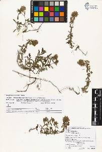 SW_BNB_s3070-05851_IMG-0000000001
