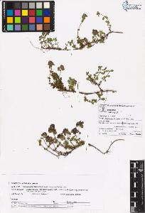 SW_BNB_s3070-05853_IMG-0000000001