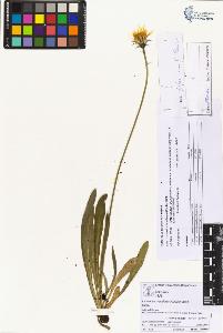 SW_BNB_s3070-05875_IMG-0000000001