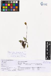 SW_BNB_s3070-05876_IMG-0000000001