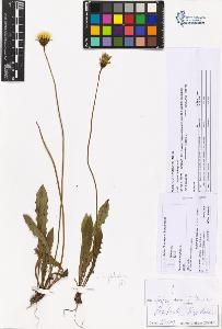 SW_BNB_s3070-05886_IMG-0000000001