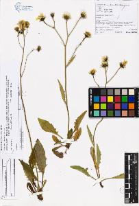 SW_BNB_s3070-05897_IMG-0000000001