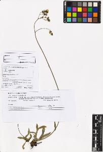 SW_BNB_s3070-05900_IMG-0000000001