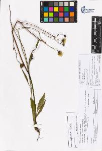 SW_BNB_s3070-05901_IMG-0000000001