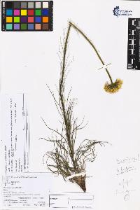 SW_BNB_s3070-05903_IMG-0000000001