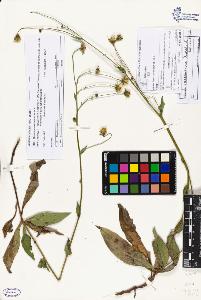 SW_BNB_s3070-05914_IMG-0000000001