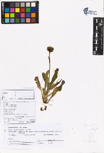 SW_BNB_s3070-05919_IMG-0000000001