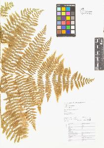 SW_BNB_s3070-05920_IMG-0000000001