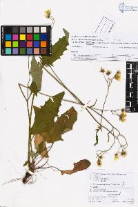 SW_BNB_s3070-05921_IMG-0000000001