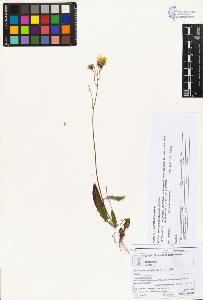 SW_BNB_s3070-05923_IMG-0000000001
