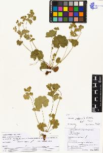 SW_BNB_s3070-05926_IMG-0000000001