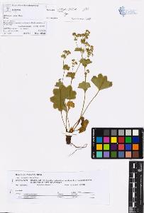 SW_BNB_s3070-05929_IMG-0000000001