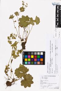 SW_BNB_s3070-05931_IMG-0000000001