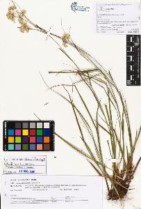 SW_BNB_s3070-05933_IMG-0000000001