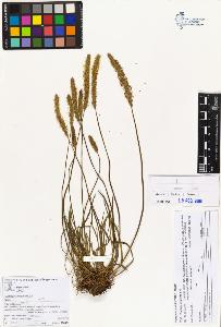 SW_BNB_s3070-05934_IMG-0000000001