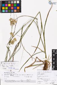 SW_BNB_s3070-05940_IMG-0000000001