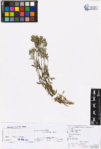 SW_BNB_s3070-05946_IMG-0000000001