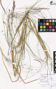 SW_BNB_s3070-05948_IMG-0000000001