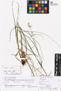 SW_BNB_s3070-05951_IMG-0000000001