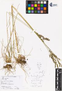 SW_BNB_s3070-05953_IMG-0000000001