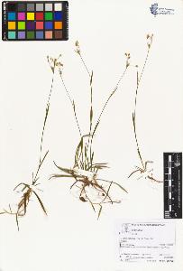 SW_BNB_s3070-05954_IMG-0000000001