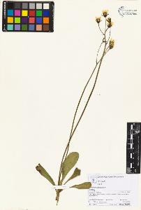 SW_BNB_s3070-05955_IMG-0000000001