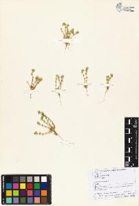SW_BNB_s3070-05956_IMG-0000000001