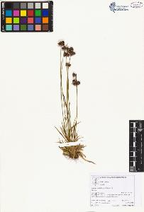 SW_BNB_s3070-05957_IMG-0000000001
