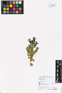 SW_BNB_s3070-05960_IMG-0000000001