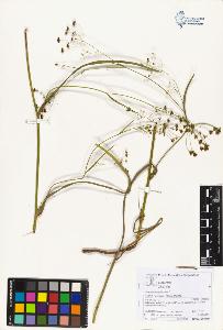 SW_BNB_s3070-05961_IMG-0000000001