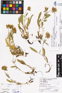 SW_BNB_s3070-05966_IMG-0000000001