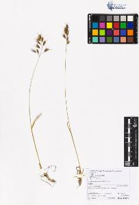 SW_BNB_s3070-05968_IMG-0000000001