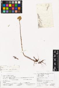 SW_BNB_s3070-05969_IMG-0000000001
