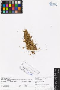SW_BNB_s3070-05971_IMG-0000000001